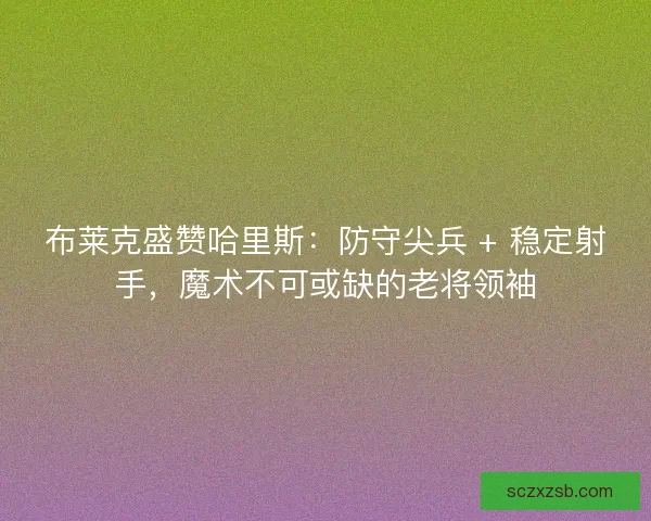 布莱克盛赞哈里斯：防守尖兵 + 稳定射手，魔术不可或缺的老将领袖