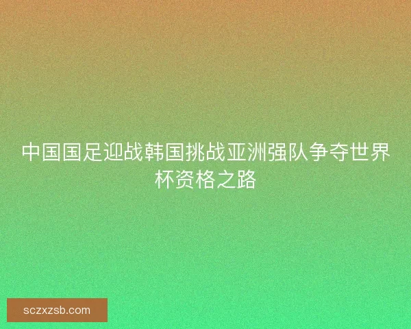 中国国足迎战韩国挑战亚洲强队争夺世界杯资格之路