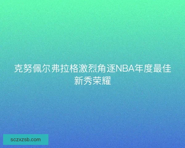 克努佩尔弗拉格激烈角逐NBA年度最佳新秀荣耀