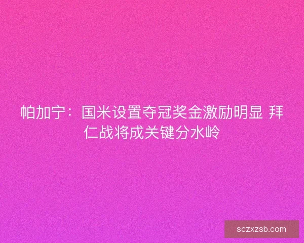 帕加宁：国米设置夺冠奖金激励明显 拜仁战将成关键分水岭